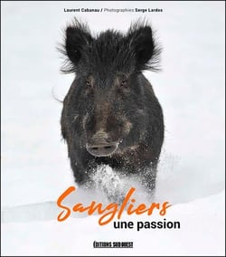Sangliers, une passion