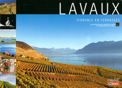 Lavaux, vignoble en terrasses