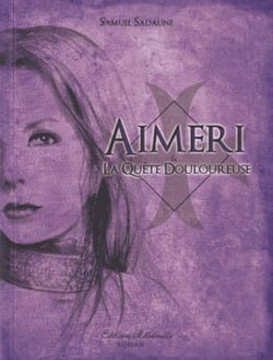 Aimeri et la quête douloureuse t.4