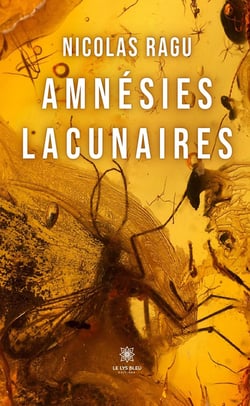 Amnésies lacunaires