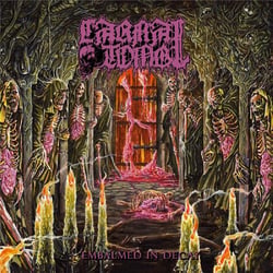 Embalmed In Decay
