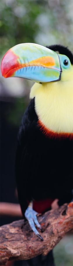 MQPG013 - COSTA RICA