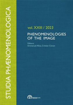 Phenomenologies of the image