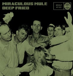 Miraculous mule