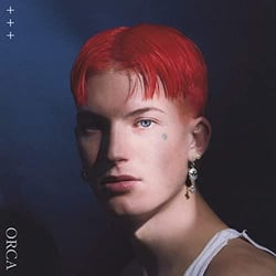 Orca - Vinyle