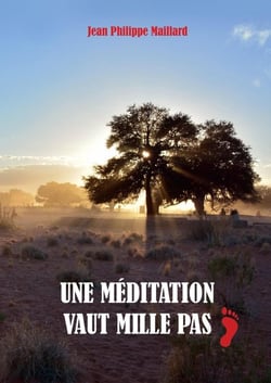 MEDITATION : Une méditation vaut mille pas-