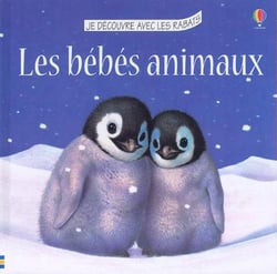Bebes animaux