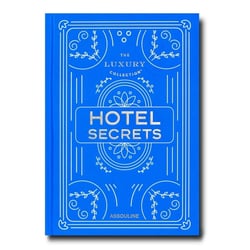 Hotel secrets : the luxury collection