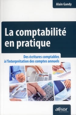 La comptabilité en pratique - des écritures comptables à l'interprétation des comptes annuels