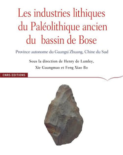 Les industries lithiques du paléolithique ancien du bassin de Bose