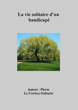La vie solitaire d'un handicapé