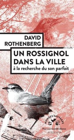Un rossignol dans la ville