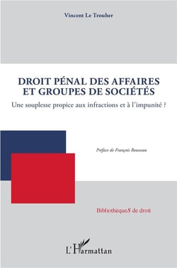 Droit pénal des affaires et groupes de sociétés - une souplesse propice aux infractions et a l'impunité ?