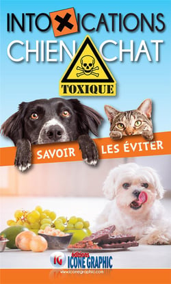 Intoxications chien chat - savoir les éviter