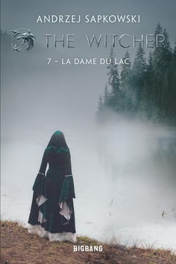 The Witcher (le sorceleur) Tome 7 : la dame du lac