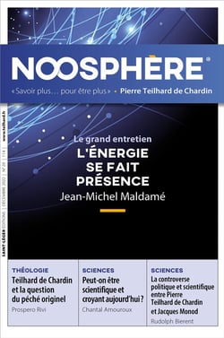 Revue Noosphère n.20 : l'énergie se fait présence