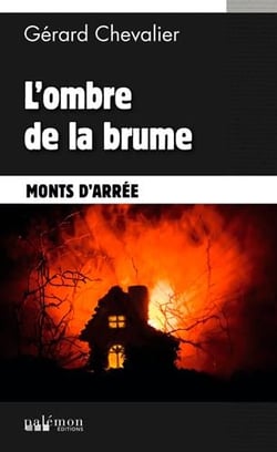 Le chat catia mène l'enquête ! - l'ombre de la brume