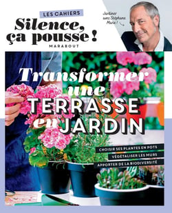 Les cahiers silence, ça pousse ! transformer une terrasse en jardin