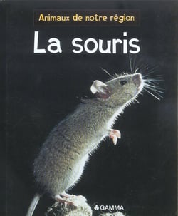 La souris