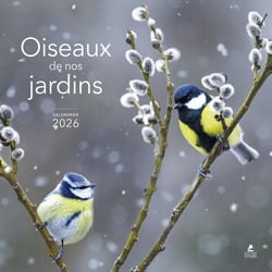 Oiseaux de nos jardins (édition 2026)