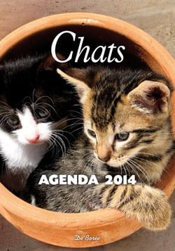 Chats - agenda 2014