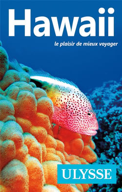 Hawaii : Le Plaisir De Mieux Voyager