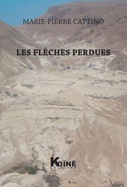 Les flèches perdues