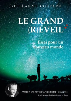 Le grand (r)éveil : Essai pour un nouveau monde