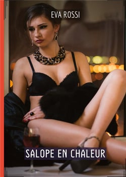 Salope en Chaleur : Histoires Érotiques Tabou pour Adultes