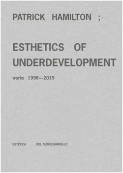 Patrick hamilton : esthetics of underdevelopment. works 1996-2015