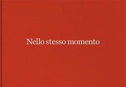 Nello stesso momento / at the same time - alessandra spranzi