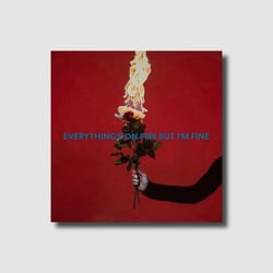 Everything's On Fire But I'm Fine