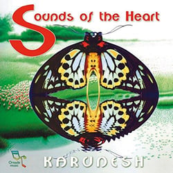 Sounds of the heart