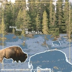 Bring Back The Buffalo