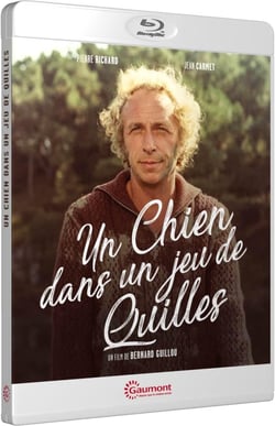 Un Chien dans un jeu de quilles