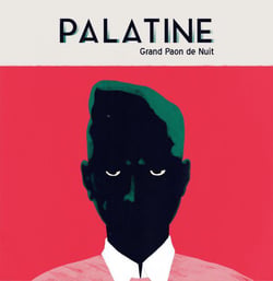 Grand paon de nuit