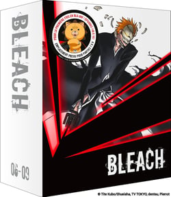 Bleach - Partie 6