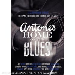 Blues anthology