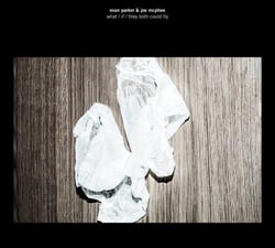 What / If / they could both fly - CD