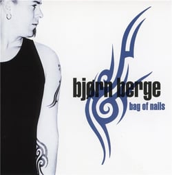 Bag of nails