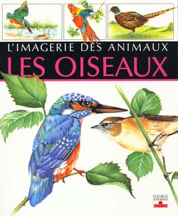 Oiseaux