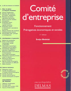 Comite d'entreprise - fonctionnement, prerogatives economiques et sociales