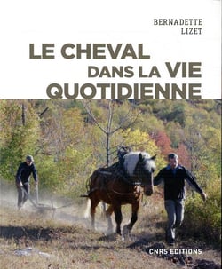 Le cheval dans la vie quotidienne