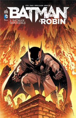 Batman And Robin T03