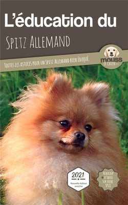 L'éducation du Spitz allemand : toutes les astuces pour un spitz allemand bien éduqué