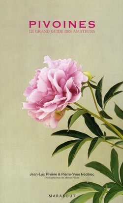 Pivoines