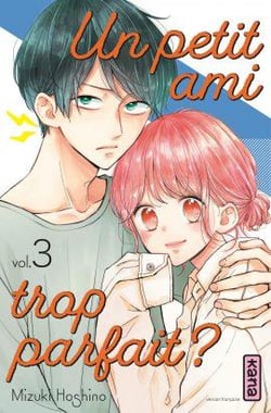 Un petit ami trop parfait ? Tome 3