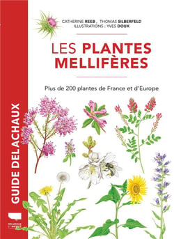 Plantes mellifères : plus de 200 plantes de France et d'Europe
