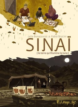 Sinaï : la terre qu'illumine la lune