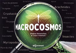 Macrocosmos